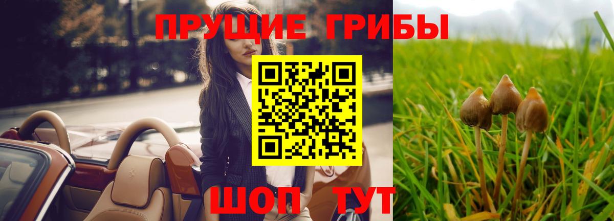 продажа наркотиков  Галлюциногенные грибы Psilocybine cubensis  Новозыбков  Вход с VPN  Псилоцибиновые грибы мухоморы 